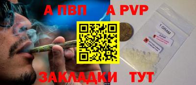дурь Кингисепп